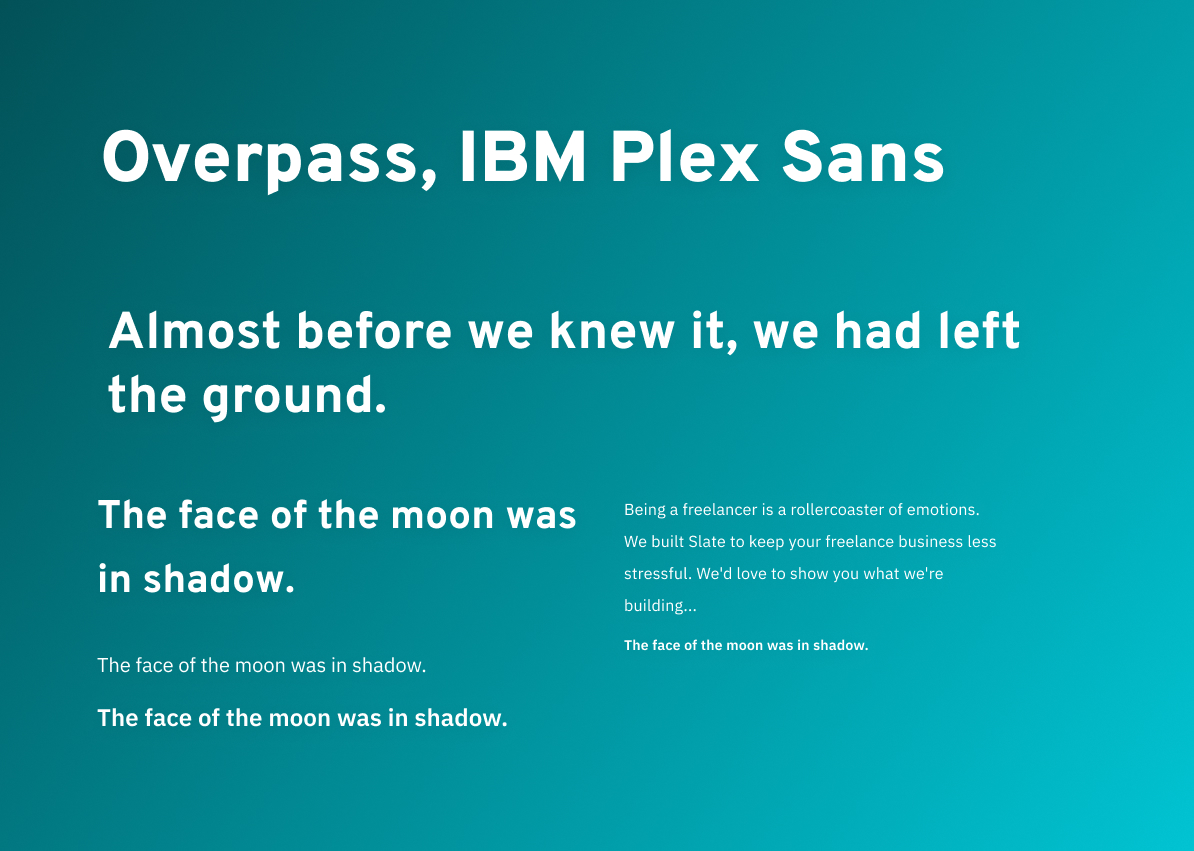 overpass-IBMPlexSans Thumbnail
