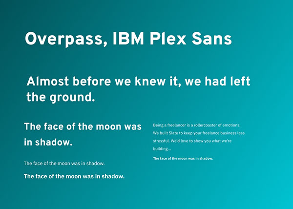 overpass-IBMPlexSans Thumbnail